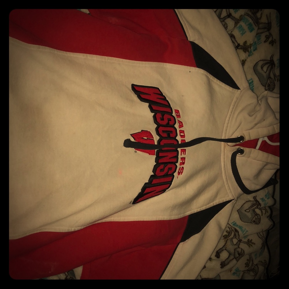 Wisconsin badgers hoodie